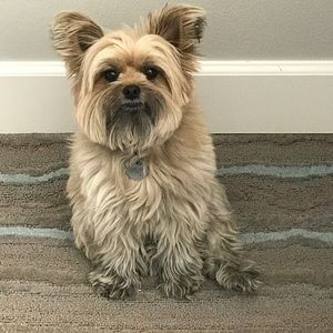 Meet your Posher, Lori